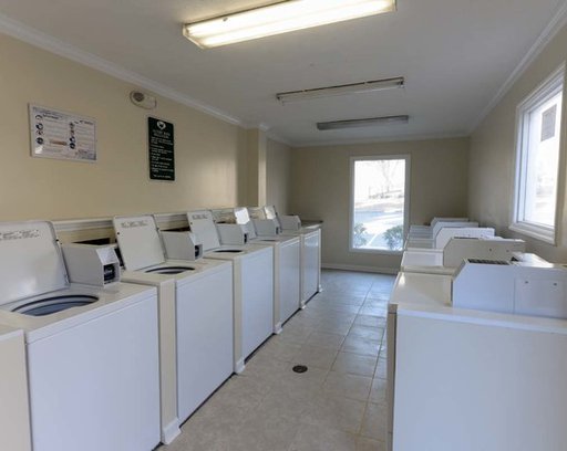 Foxfire laundry room